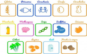 Les allergènes Les allergènes