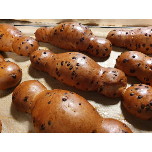 Cougnou (Disponible à partir du 23/10)